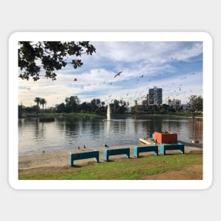 MacArthur Park Afternoon Pond View Sticker